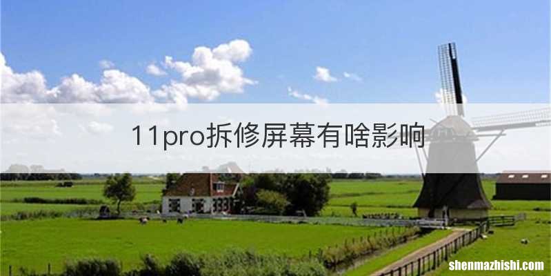 11pro拆修屏幕有啥影响
