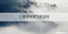 儿童单独乘飞机流程