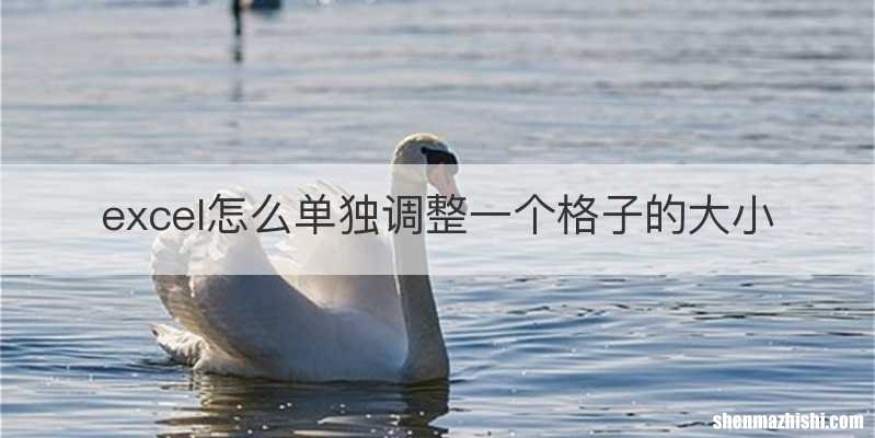 excel怎么单独调整一个格子的大小