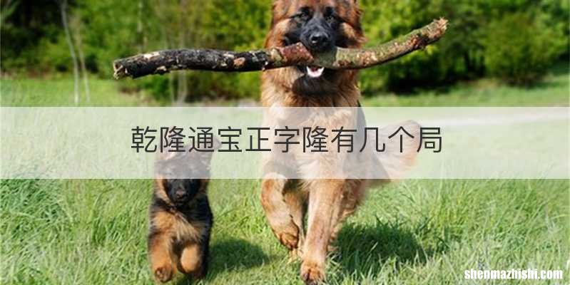 乾隆通宝正字隆有几个局