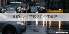 谁写的人生苦短这几个字最好