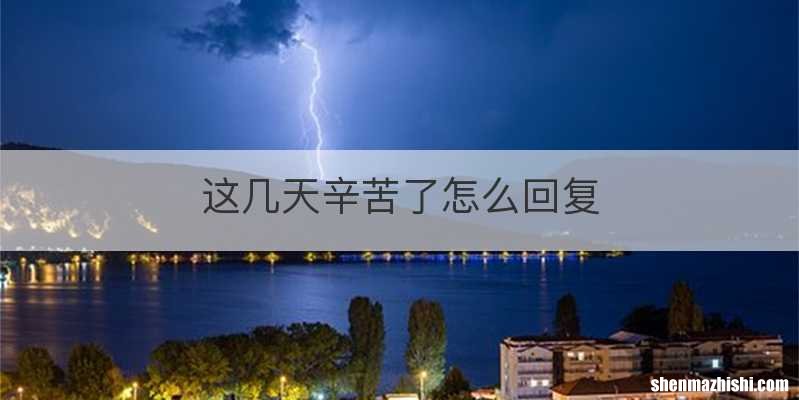 这几天辛苦了怎么回复