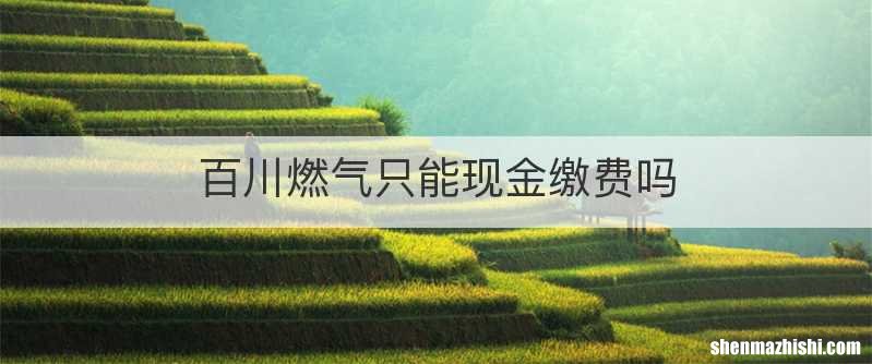 百川燃气只能现金缴费吗