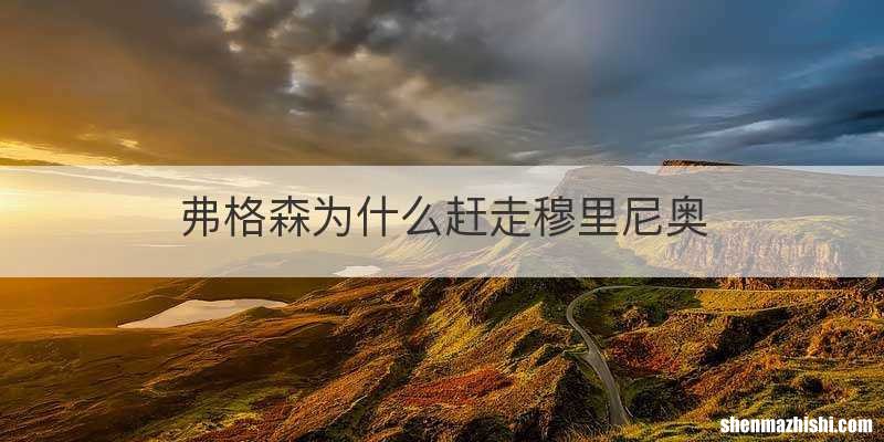 弗格森为什么赶走穆里尼奥