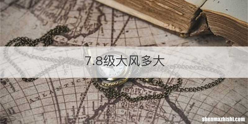 7.8级大风多大