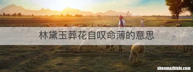 林黛玉葬花自叹命薄的意思