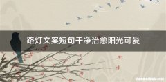 路灯文案短句干净治愈阳光可爱