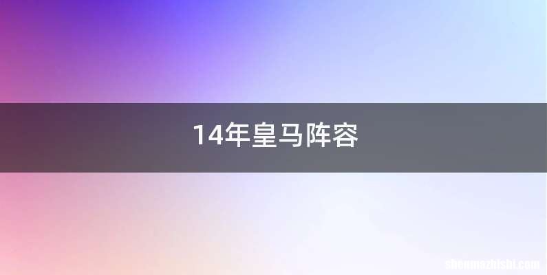14年皇马阵容