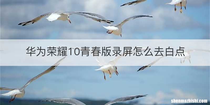 华为荣耀10青春版录屏怎么去白点