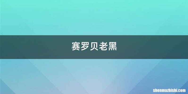 赛罗贝老黑