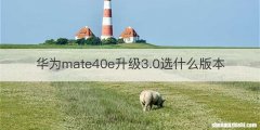 华为mate40e升级3.0选什么版本
