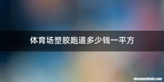 体育场塑胶跑道多少钱一平方