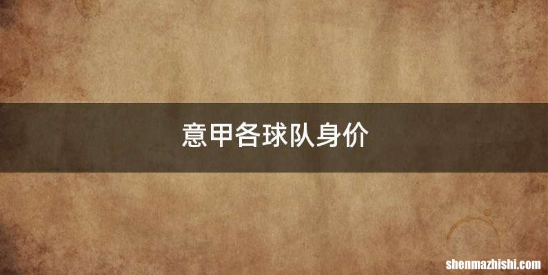 意甲各球队身价