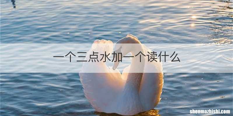 一个三点水加一个读什么