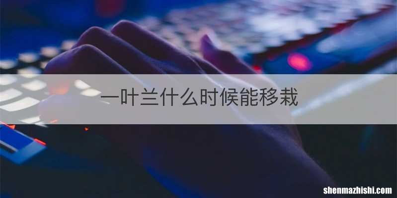一叶兰什么时候能移栽