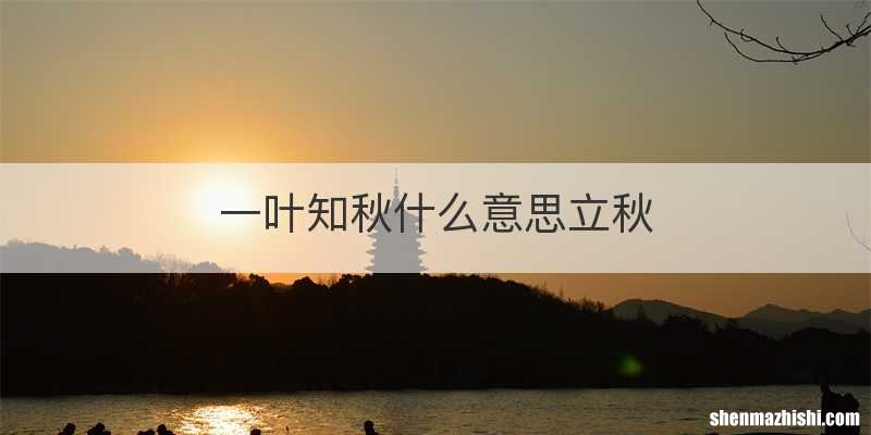 一叶知秋什么意思立秋