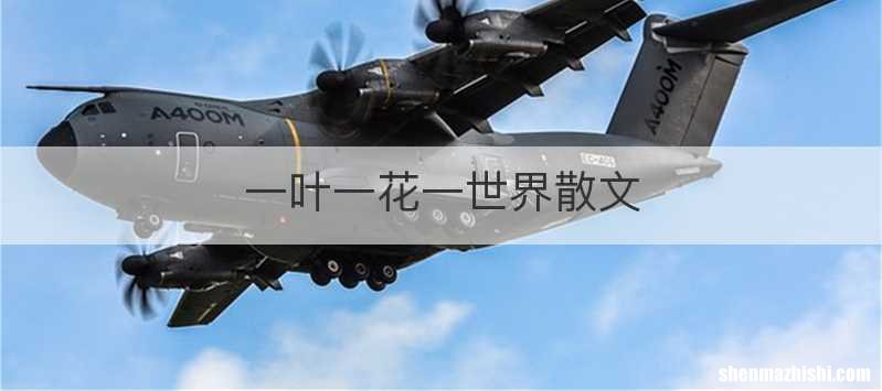 一叶一花一世界散文