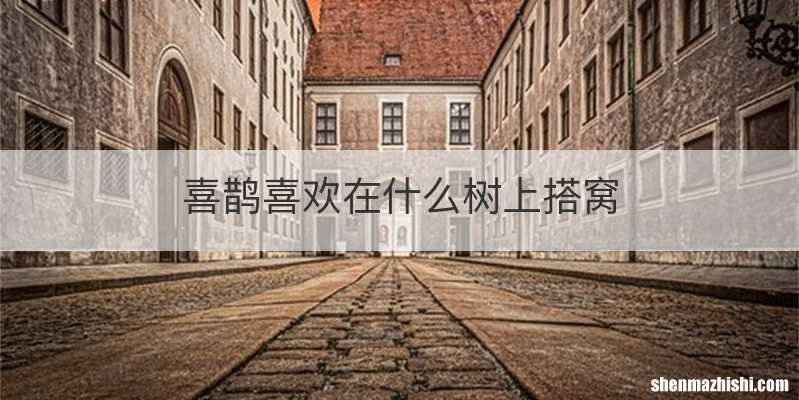 喜鹊喜欢在什么树上搭窝