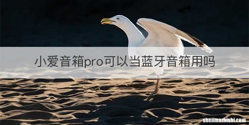 小爱音箱pro可以当蓝牙音箱用吗