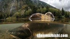 天津体育频道今天节目表