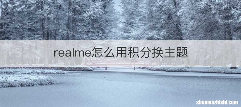 realme怎么用积分换主题