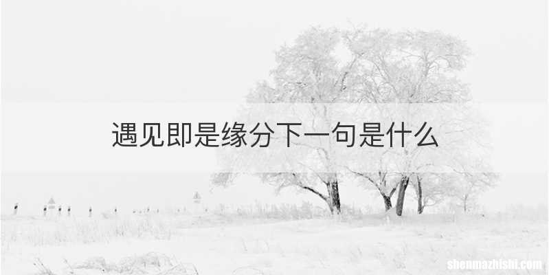 遇见即是缘分下一句是什么