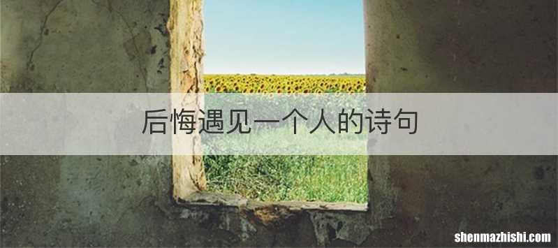 后悔遇见一个人的诗句