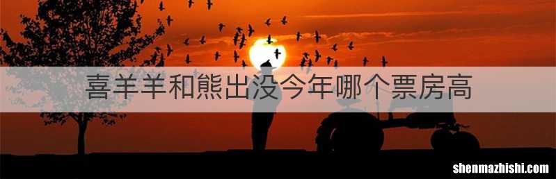 喜羊羊和熊出没今年哪个票房高