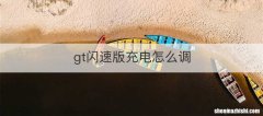 gt闪速版充电怎么调