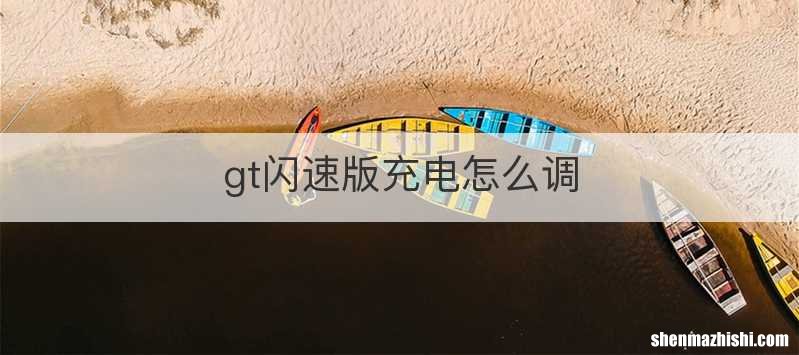 gt闪速版充电怎么调