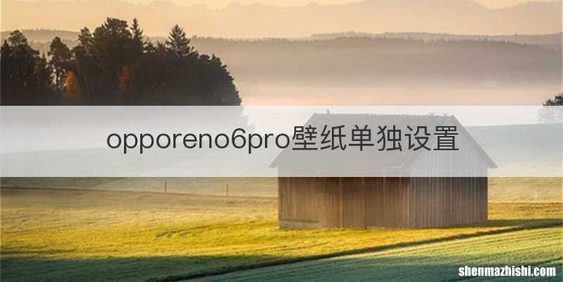 opporeno6pro壁纸单独设置