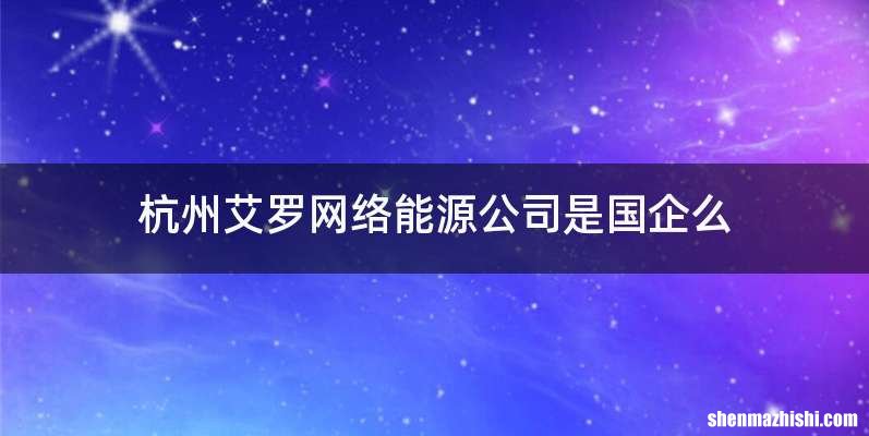 杭州艾罗网络能源公司是国企么