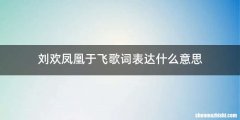 刘欢凤凰于飞歌词表达什么意思