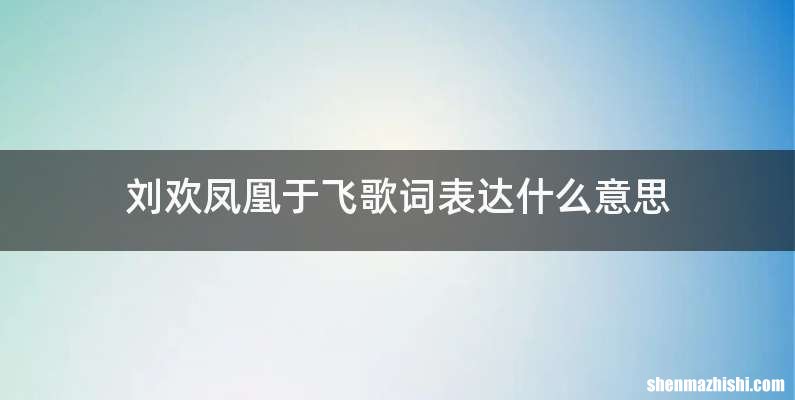 刘欢凤凰于飞歌词表达什么意思