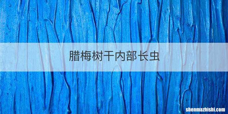 腊梅树干内部长虫