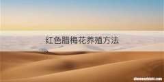 红色腊梅花养殖方法