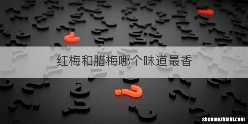 红梅和腊梅哪个味道最香