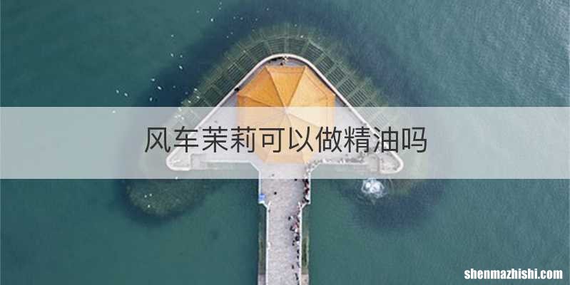 风车茉莉可以做精油吗