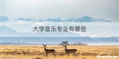 大学音乐专业有哪些