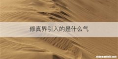 修真界引入的是什么气