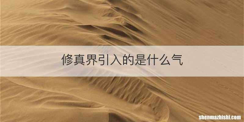 修真界引入的是什么气