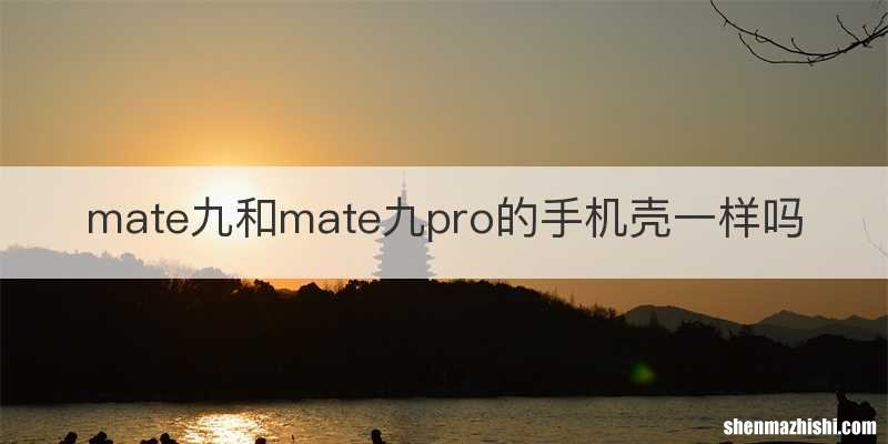 mate九和mate九pro的手机壳一样吗