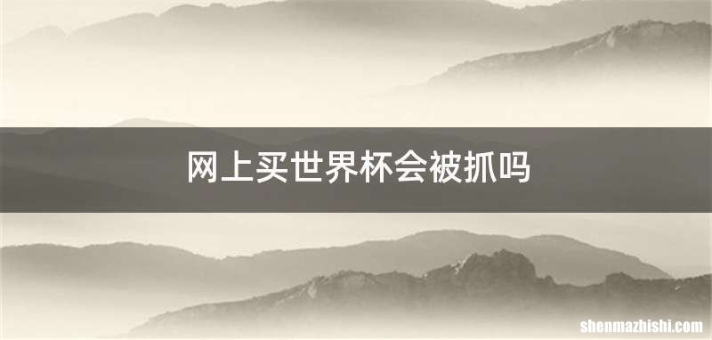 网上买世界杯会被抓吗