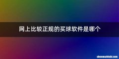 网上比较正规的买球软件是哪个