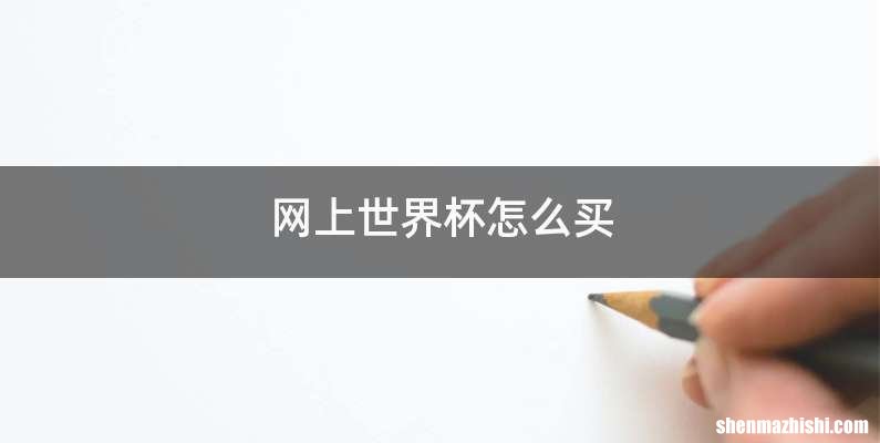网上世界杯怎么买
