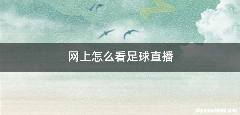 网上怎么看足球直播