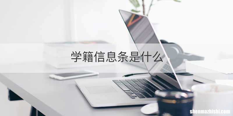 学籍信息条是什么