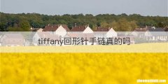 tiffany回形针手链真的吗