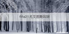 fifa21尤文图斯叫啥