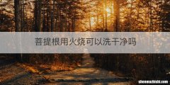 菩提根用火烧可以洗干净吗